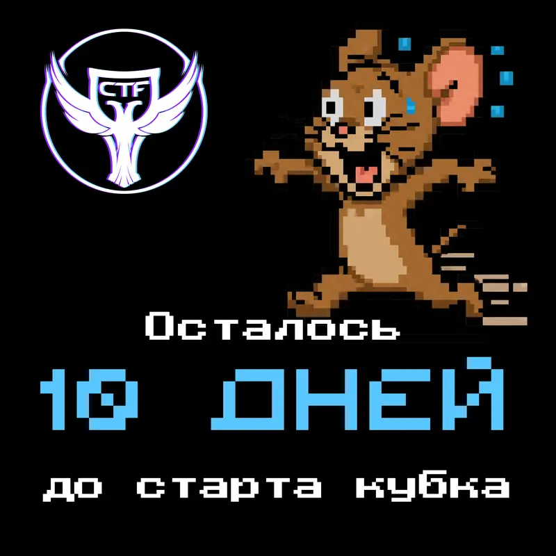 IX Кубок CTF России — макет 14